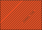 orange-box-15.png