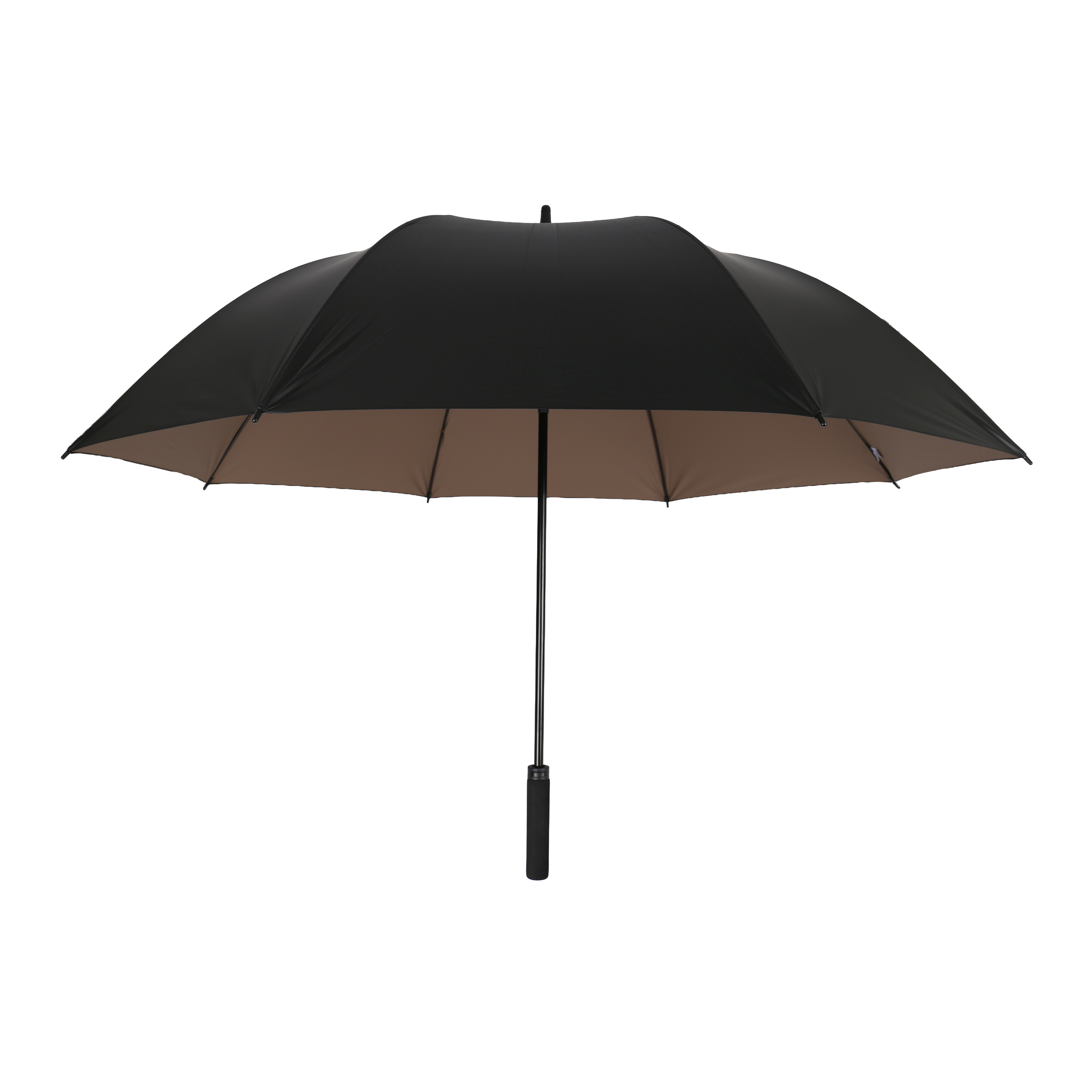 장방풍 컬러암막 _메인